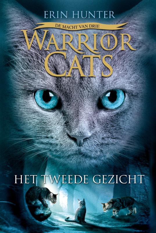 Omslag van Het tweede gezicht