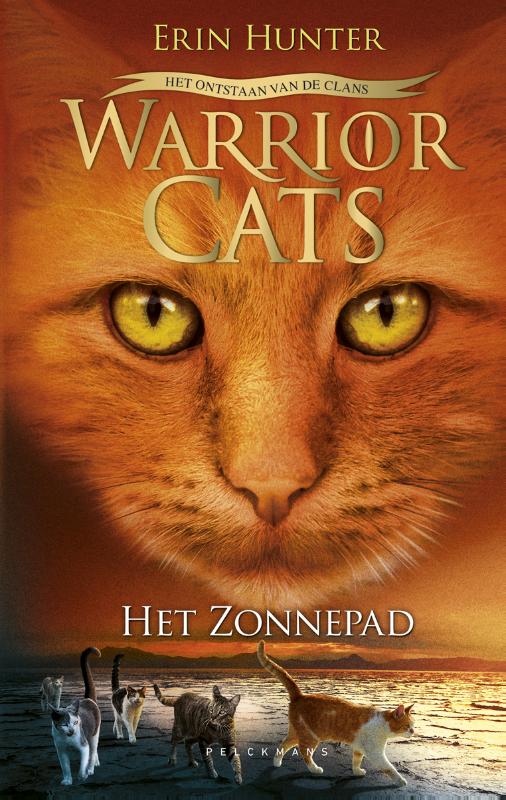 Omslag van Het zonnepad