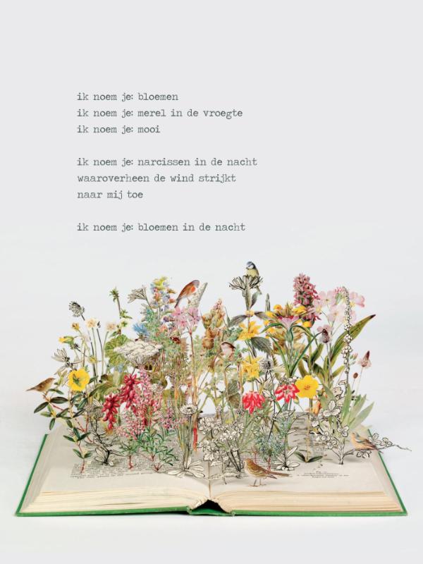 Omslag van Poezieposter Plint Jan Hanlo 'ik noem je bloemen' / Su Blackwell