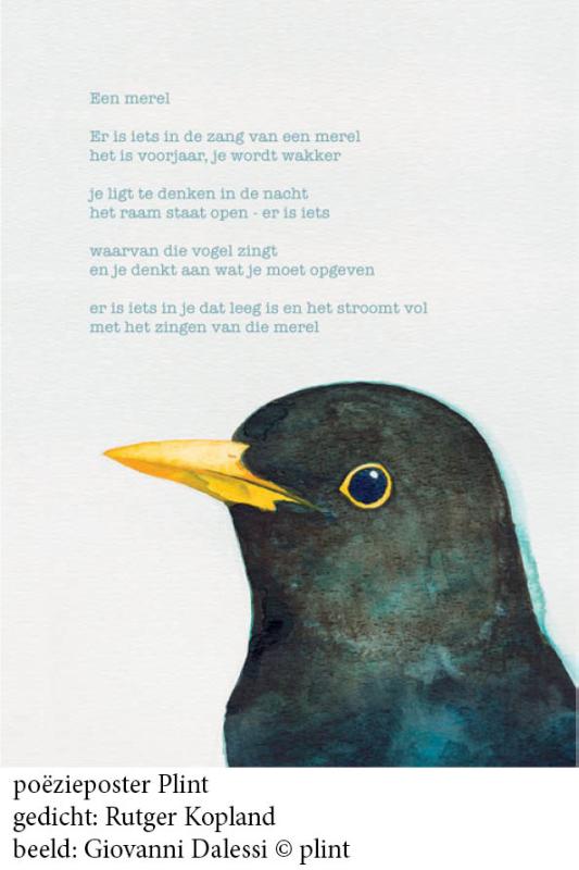 Omslag van Poeziekaart een merel