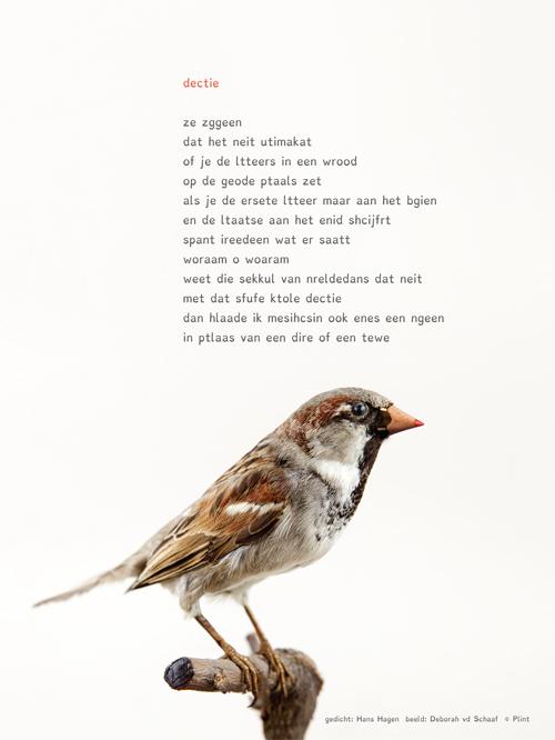 Omslag van Plint Poezieposter 'Dectie' Hans Hagen