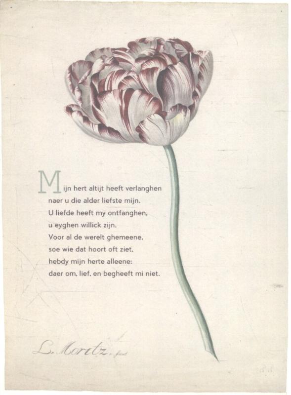 Omslag van 10 poëziekaarten plint met gedicht 'Mijn hert'