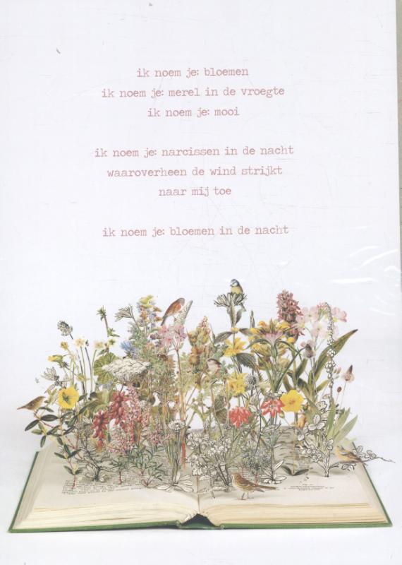 Omslag van Plint Set van 10 A4 poëzieposters ik noem je bloemen Jan Hanlo