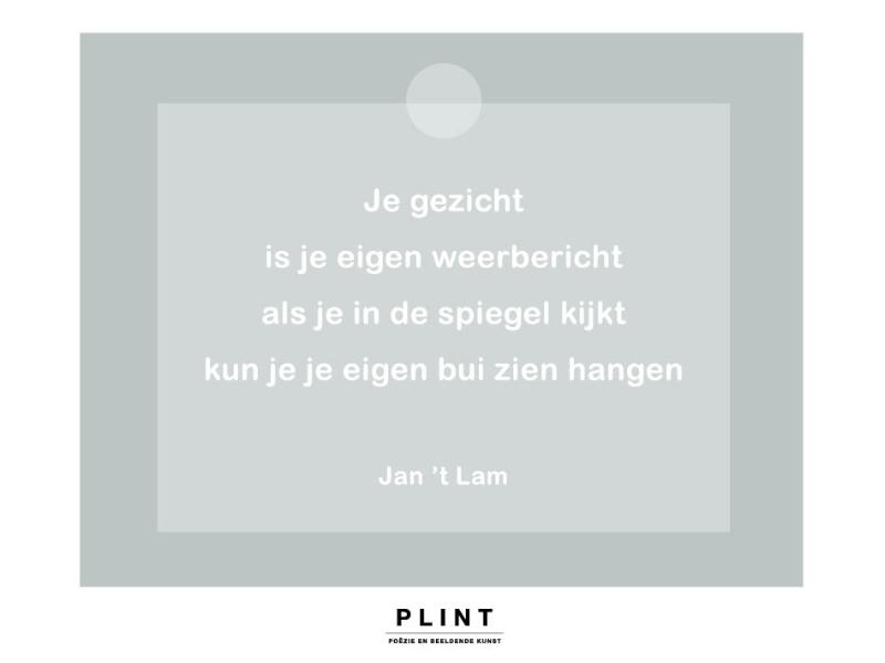 Omslag van Plint Raamkaart 'Je Gezicht' Jan 't Lam set van 10