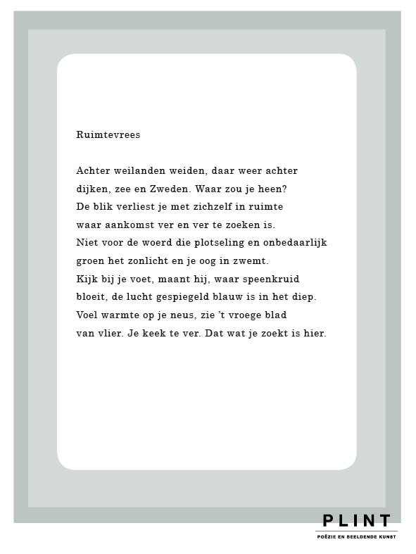 Omslag van Plint Raamgedicht Marjoleine de Vos