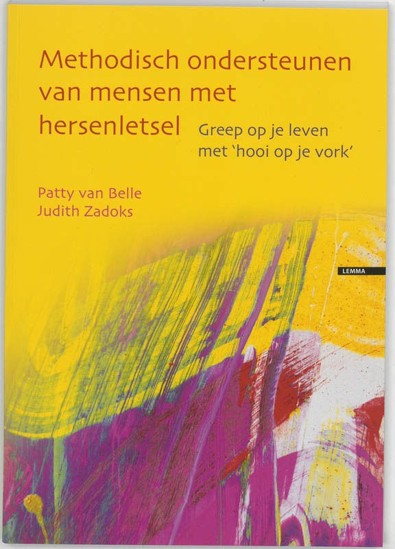 Omslag van Methodisch ondersteunen van mensen met hersenletsel