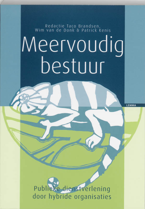 Omslag van Meervoudig bestuur