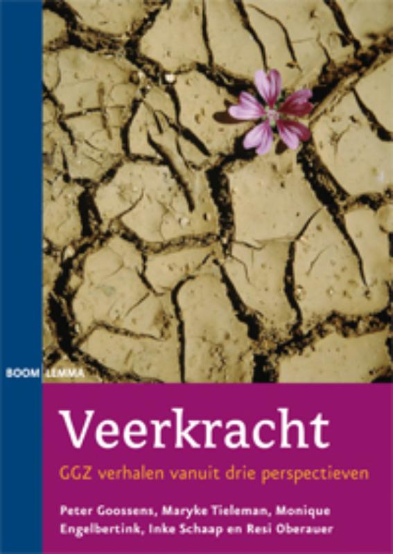 Omslag van Veerkracht