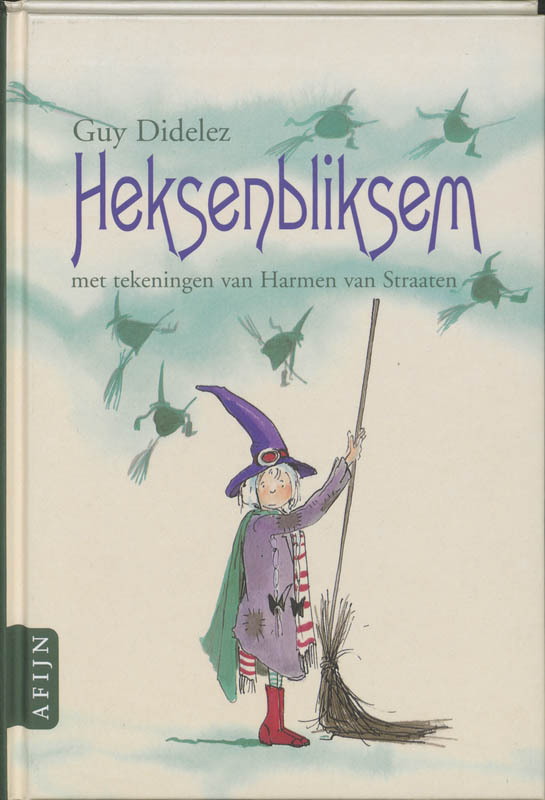 Omslag van Heksenbliksem