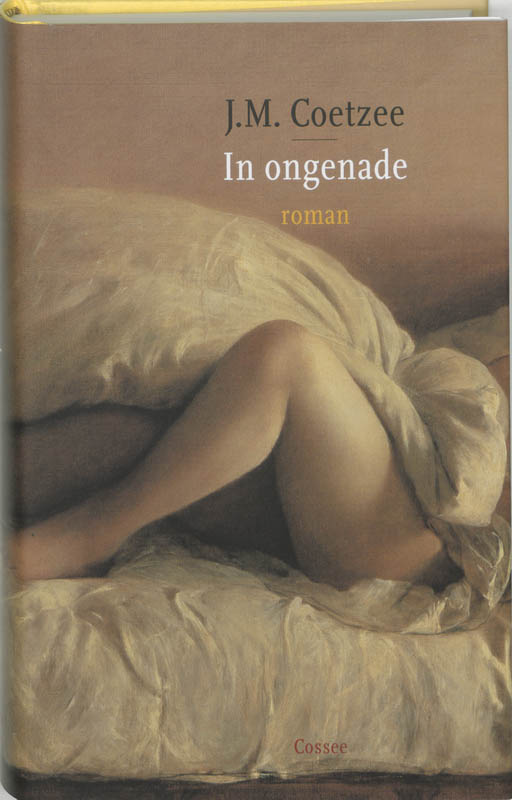 Omslag van In ongenade