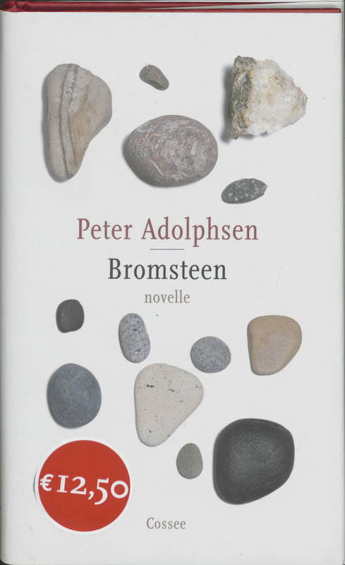 Omslag van Bromsteen