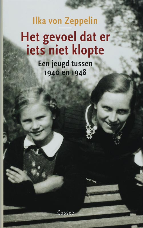 Omslag van Het gevoel dat er iets niet klopte