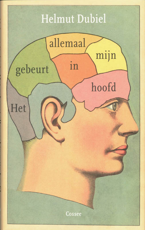 Omslag van Het gebeurt allemaal in mijn hoofd