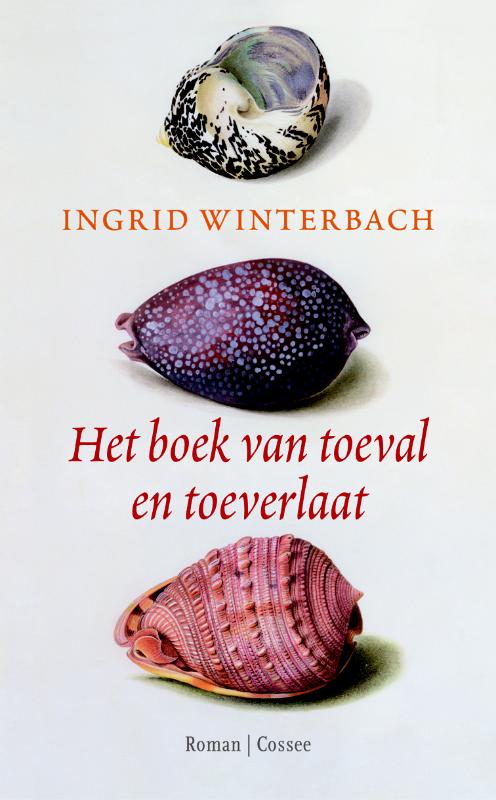 Omslag van Het boek van toeval en toeverlaat