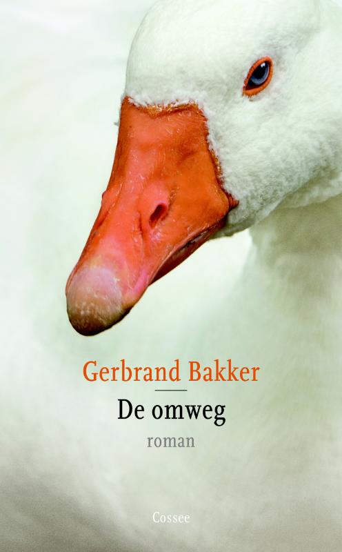 Omslag van De omweg