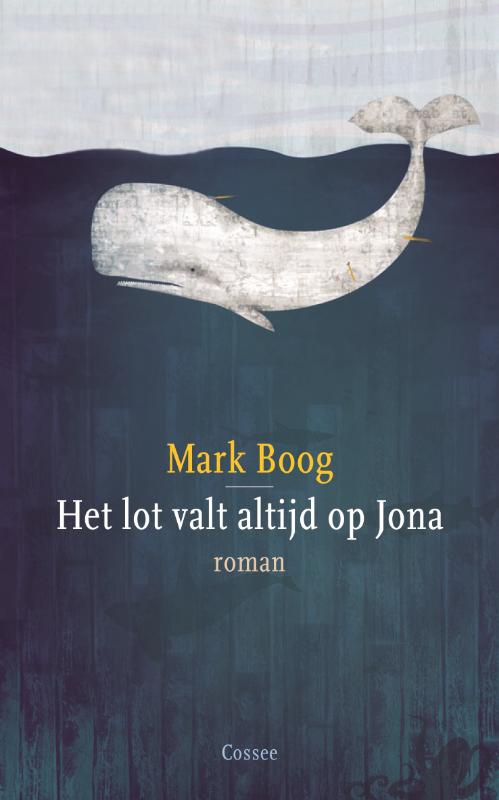 Omslag van Het lot valt altijd op Jona