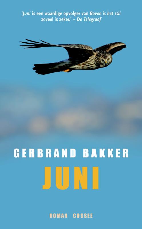 Omslag van Juni