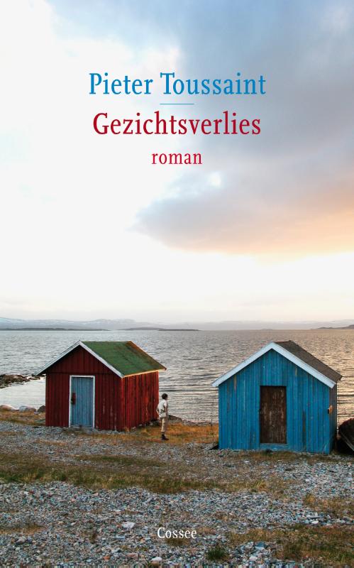 Omslag van Gezichtsverlies