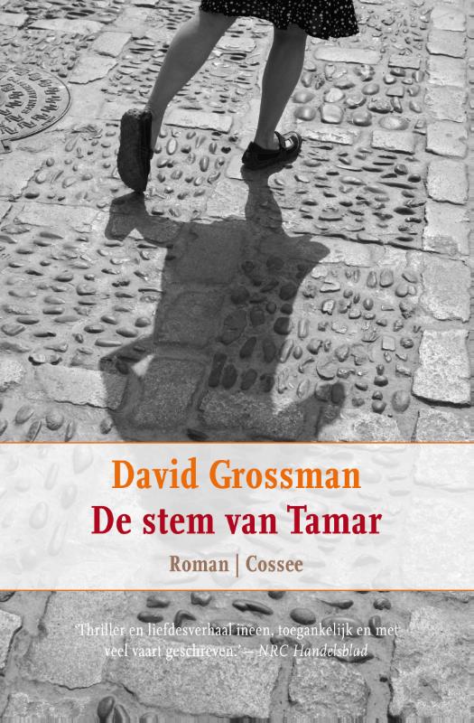 Omslag van De stem van Tamar