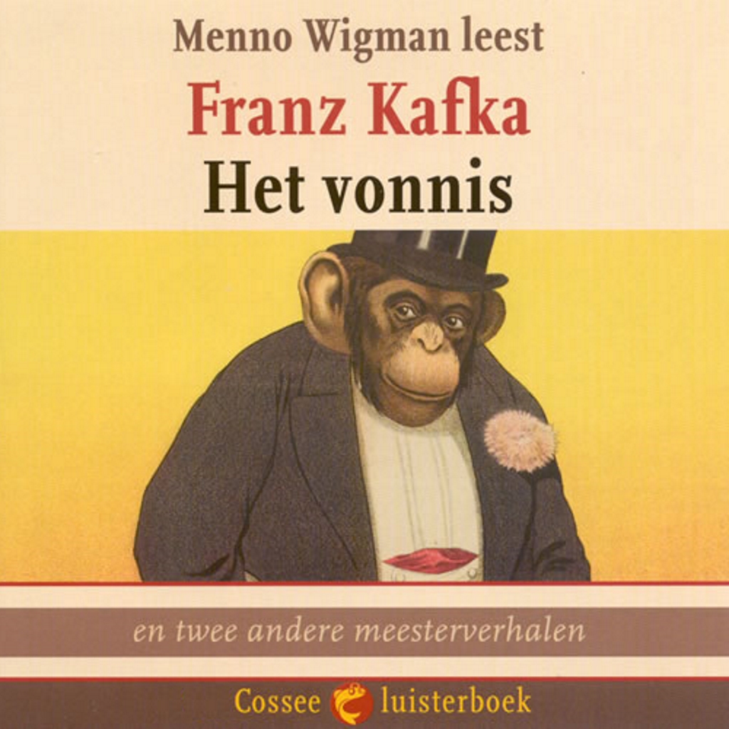 Omslag van Het vonnis