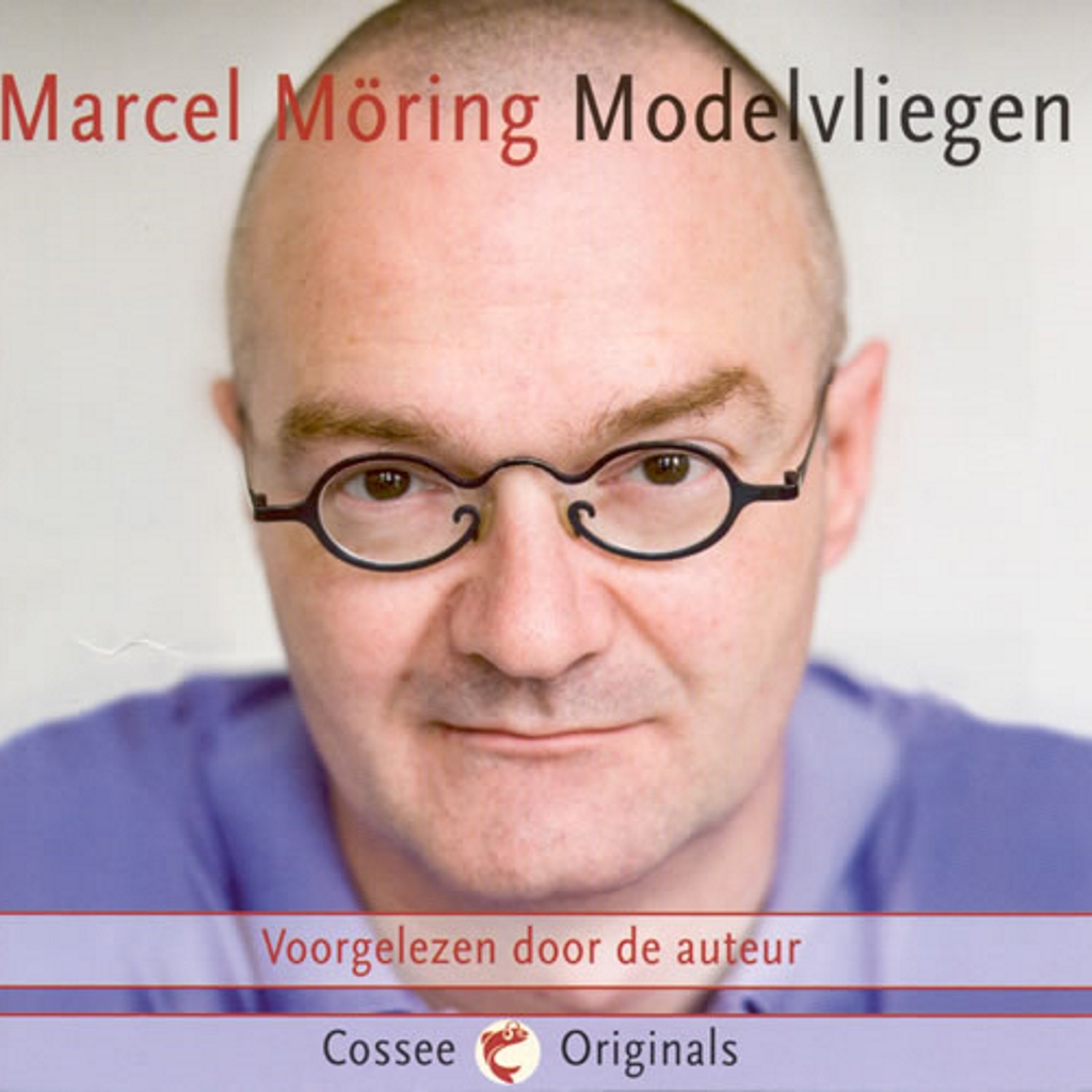 Omslag van Modelvliegen