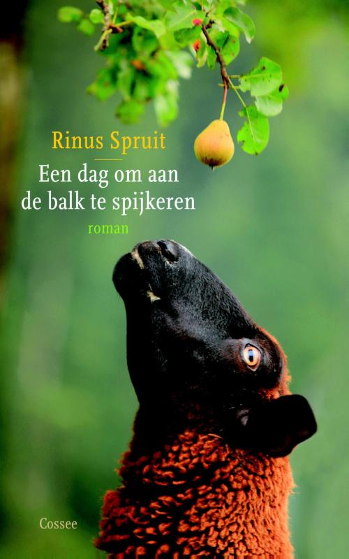 Omslag van Een dag om aan de balk te spijkeren
