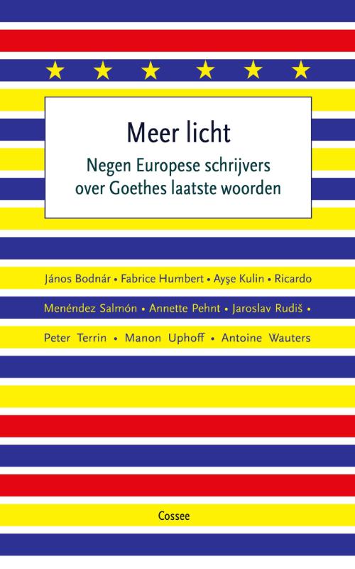Omslag van Meer licht