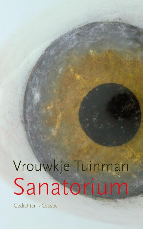 Omslag van Sanatorium