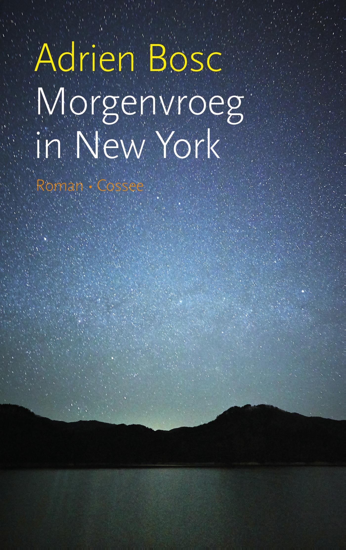 Omslag van Morgenvroeg in New York