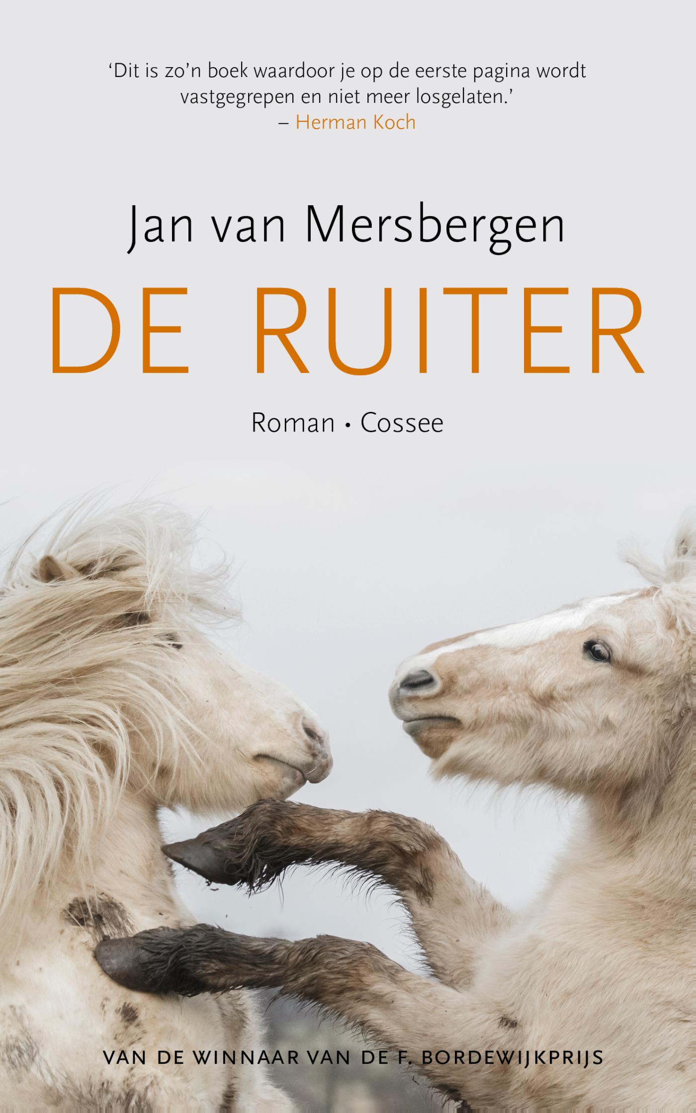 Omslag van De ruiter