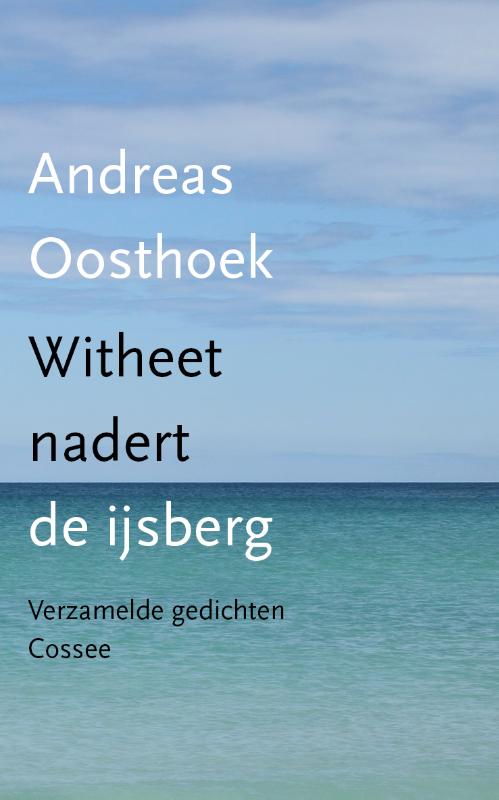 Omslag van Witheet nadert de ijsberg