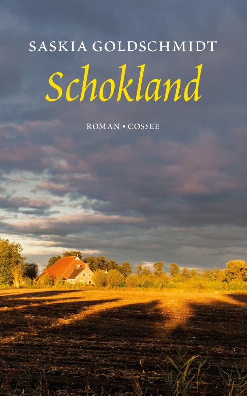 Omslag van Schokland