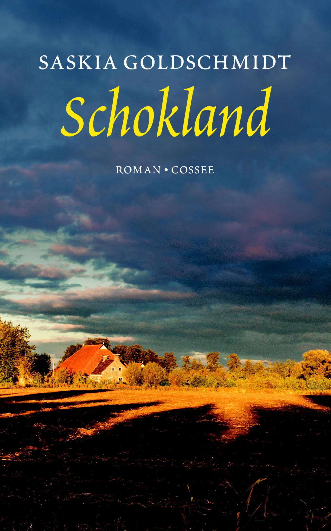 Omslag van Schokland