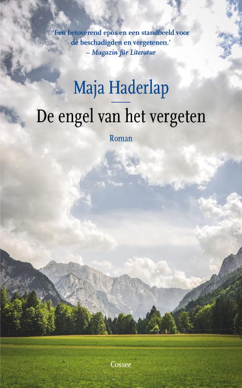 Omslag van De engel van het vergeten