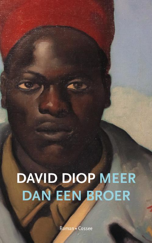 Omslag van Meer dan een broer