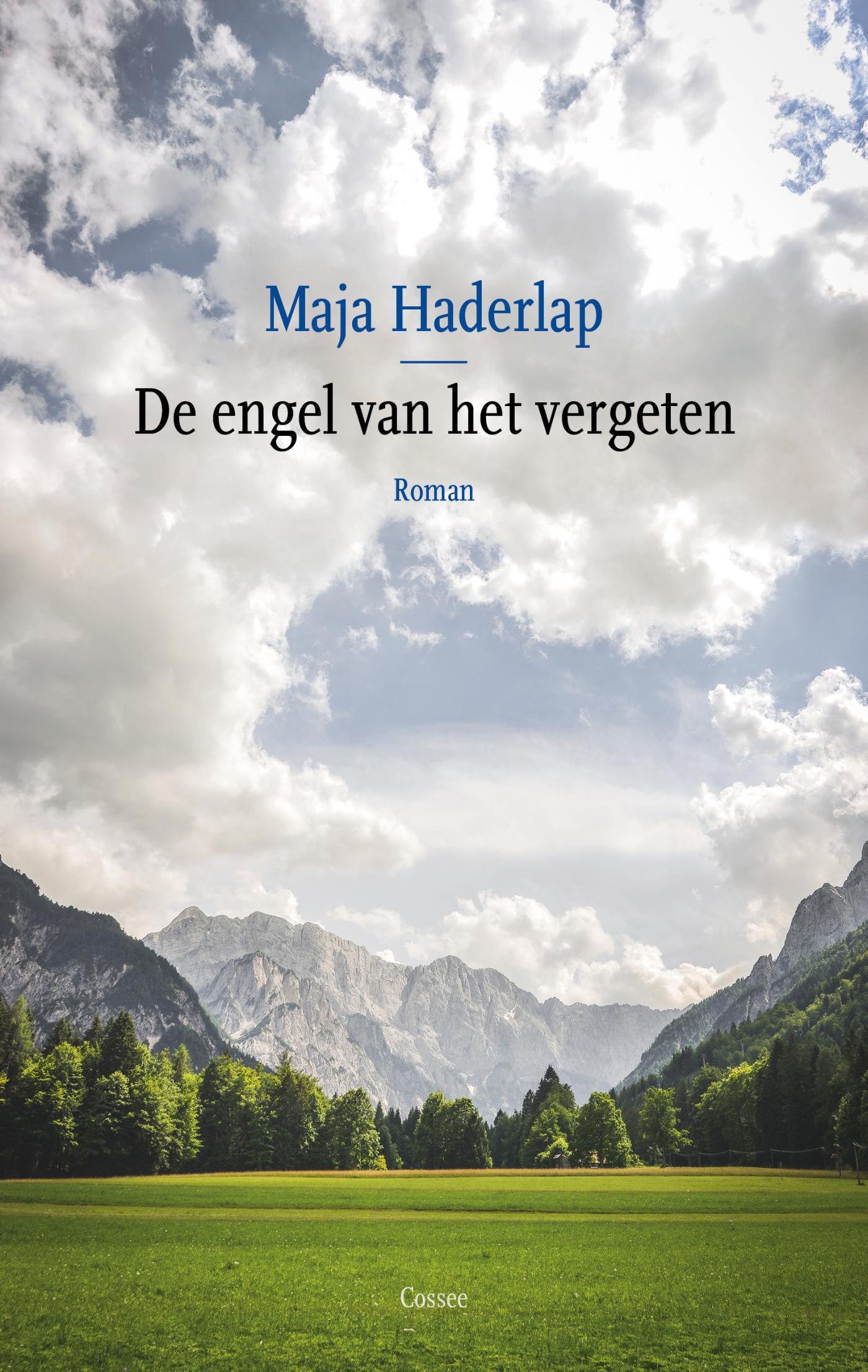 Omslag van De engel van het vergeten