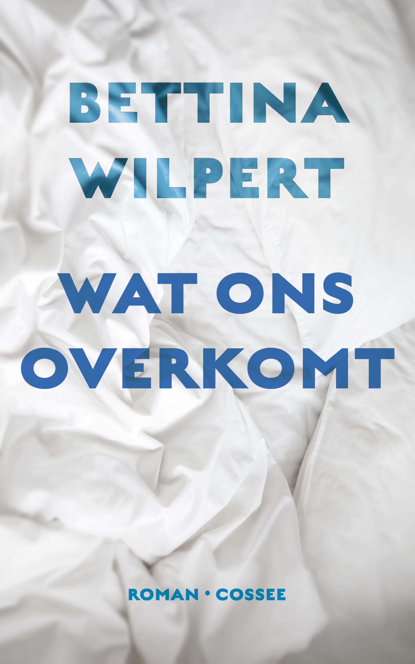 Omslag van Wat ons overkomt