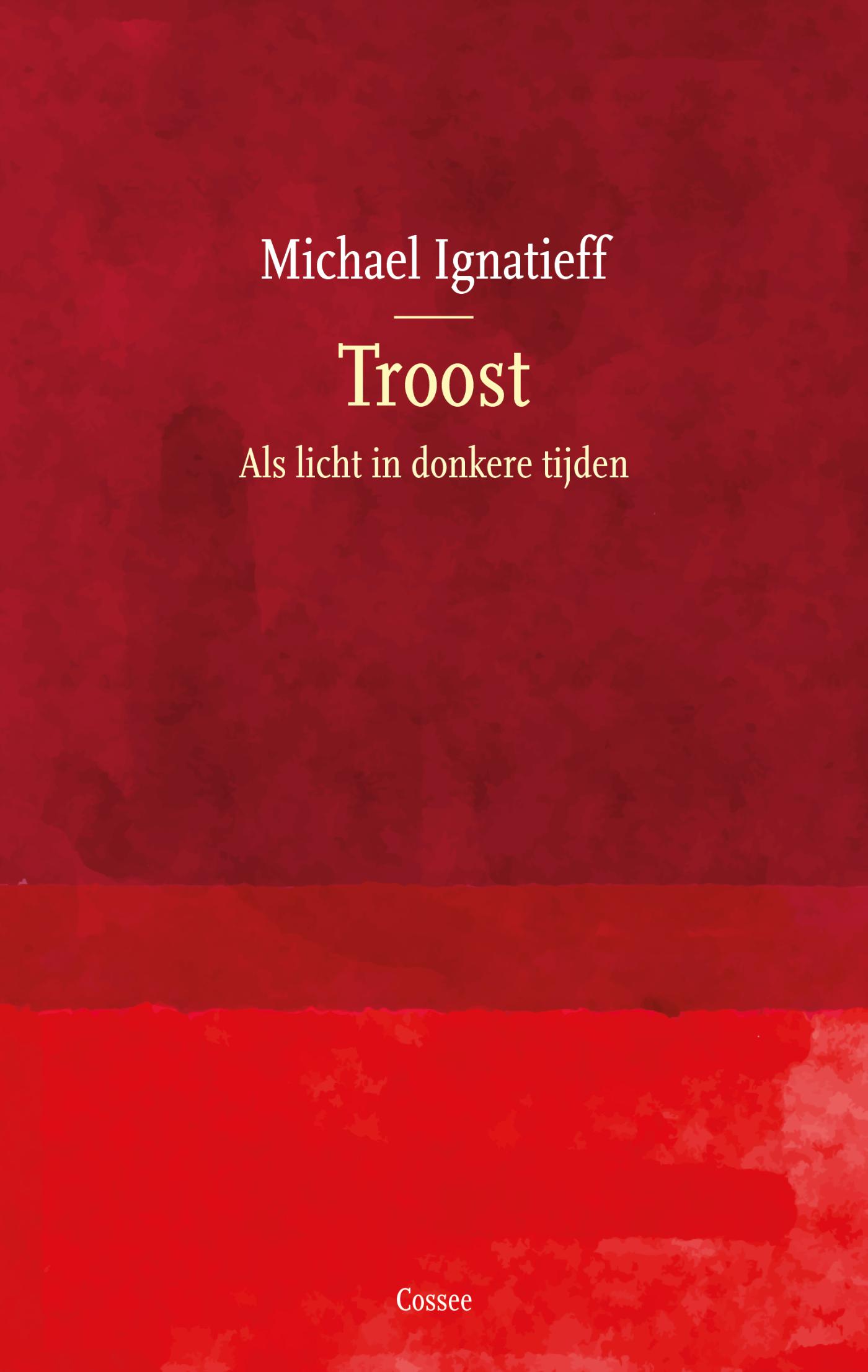 Omslag van Troost