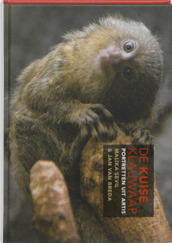Omslag van De kuise klauwaap