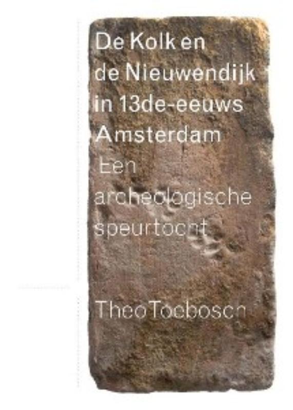 Omslag van De niewezijds kolk en de Nieuwendijk in dertiende-eeuws Amsterdam