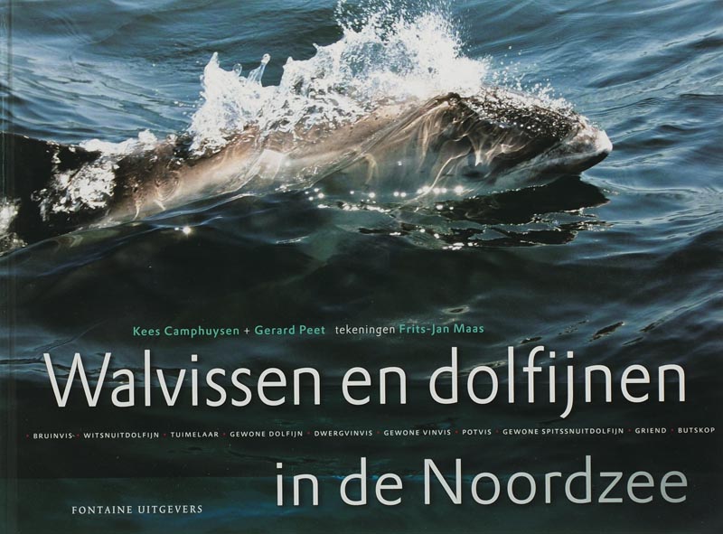 Omslag van Walvissen en dolfijnen in de Noordzee