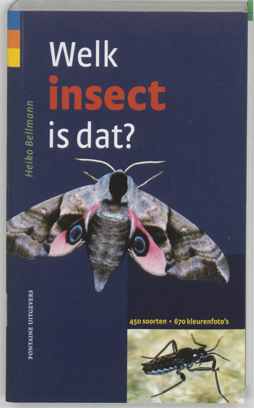 Omslag van Welk insect is dat?