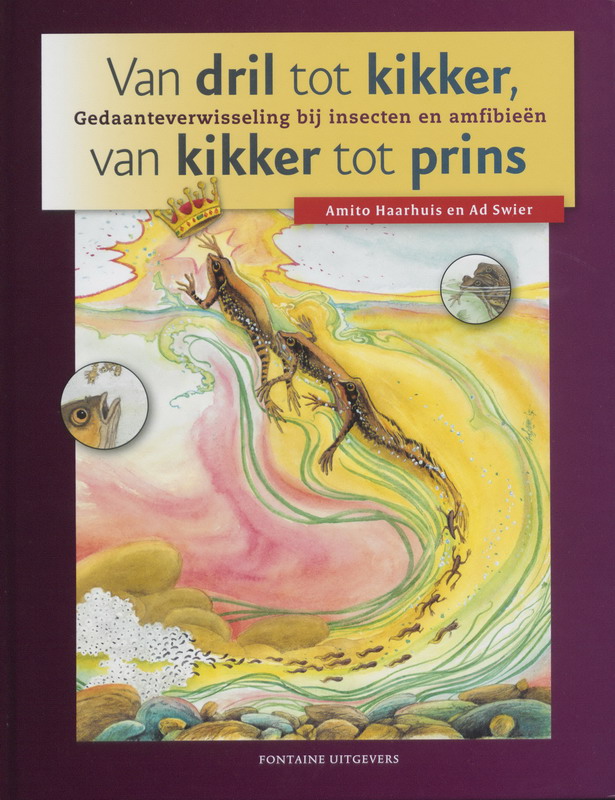 Omslag van Van dril tot kikker, van kikker tot prins