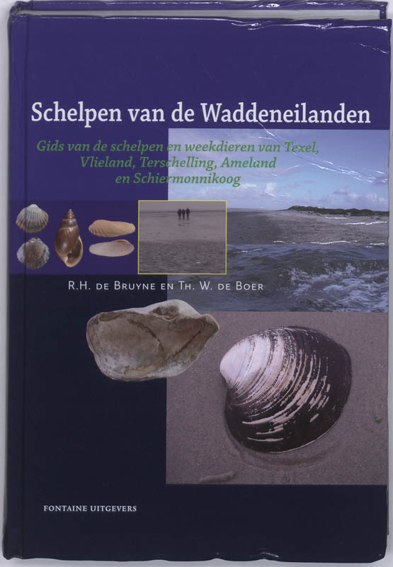 Omslag van Schelpen van de Waddeneilanden