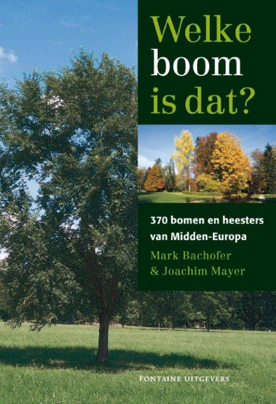 Omslag van Welke boom is dat?