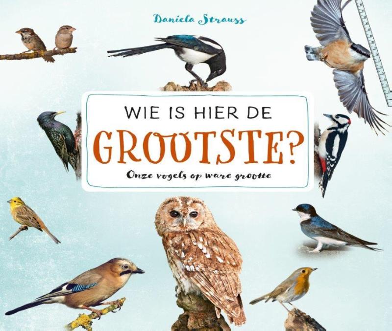 Omslag van Wie is hier de grootste?