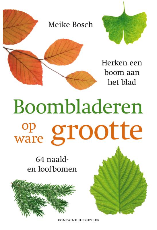 Omslag van Boombladeren op ware grootte