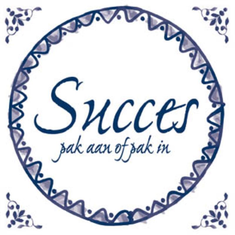 Omslag van Succes