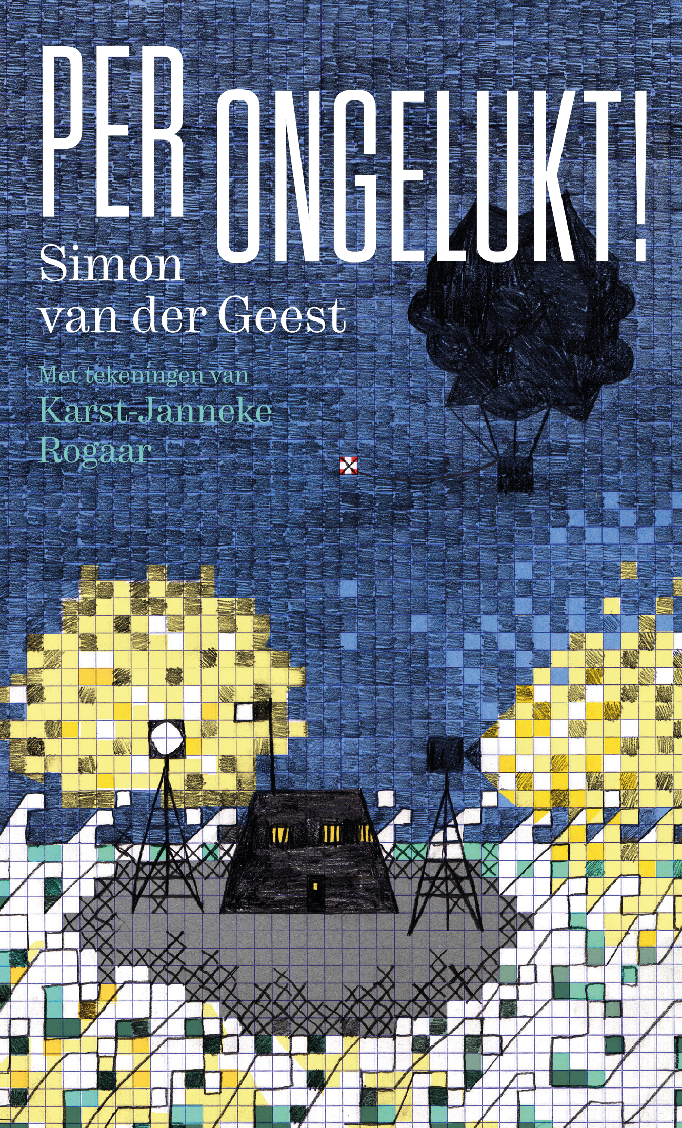 Omslag van Per ongelukt!