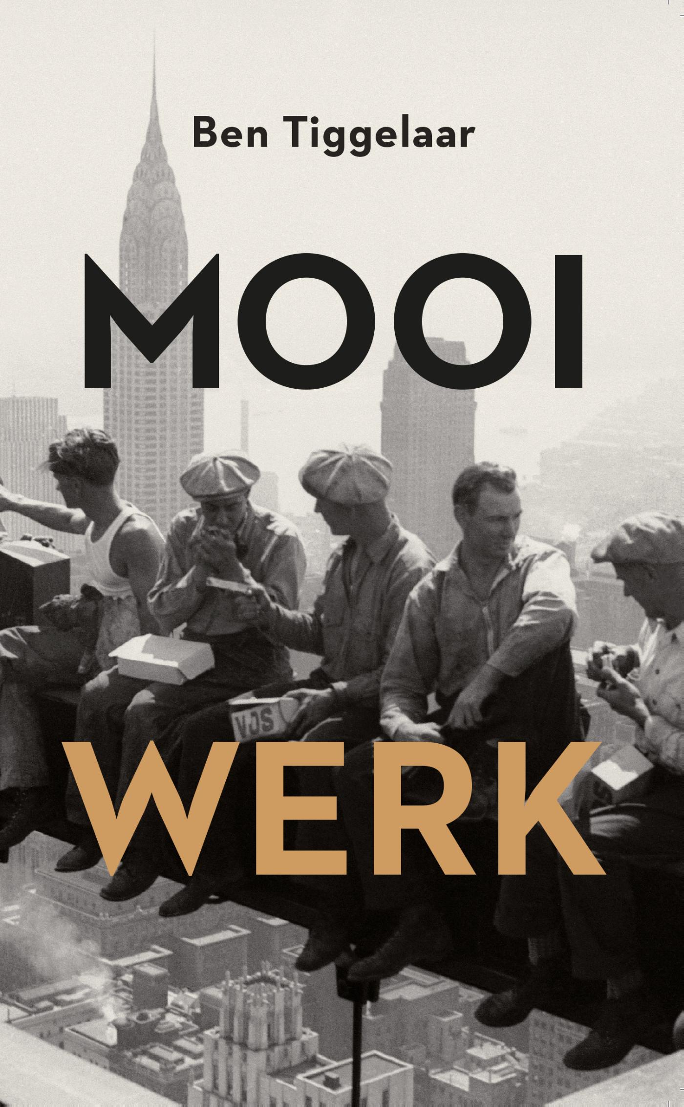 Omslag van Mooi werk